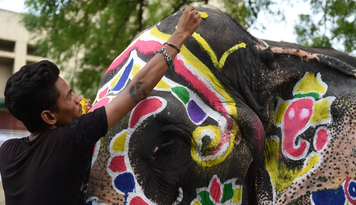 Seekor gajah dilukis menjelang festival Hindu tahunan Rath Yatra di Ahmedabad, India (3/7/2019). Festival Rath Yatra dijadwalkan akan dimulai pada 4 Juli tahun ini dan akan dimeriahkan oleh sekitar 15 gajah. (AFP Photo/Sam Panthaky)