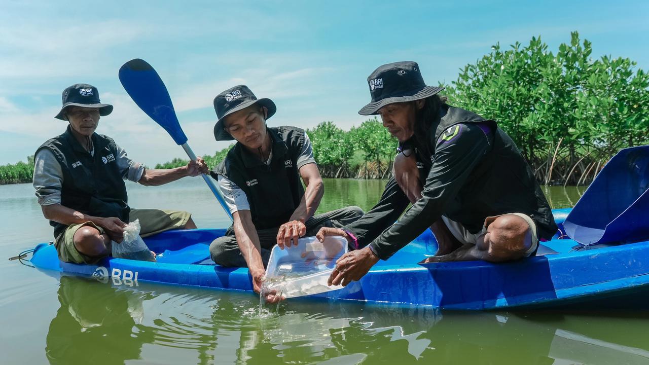 BRI Perkuat Komitmen Jaga Ekosistem Pesisir Lewat Penanaman Mangrove di Muara Gembong Bekasi