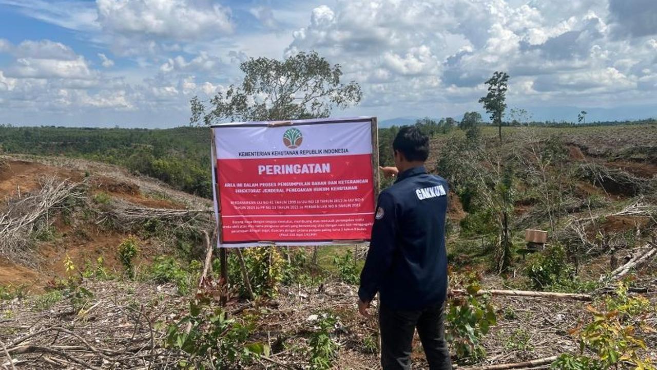 Penyelidikan Kemenhut Tapanuli: 12 Subjek Hukum Diduga Terlibat Kerusakan Lingkungan Penyebab Banjir