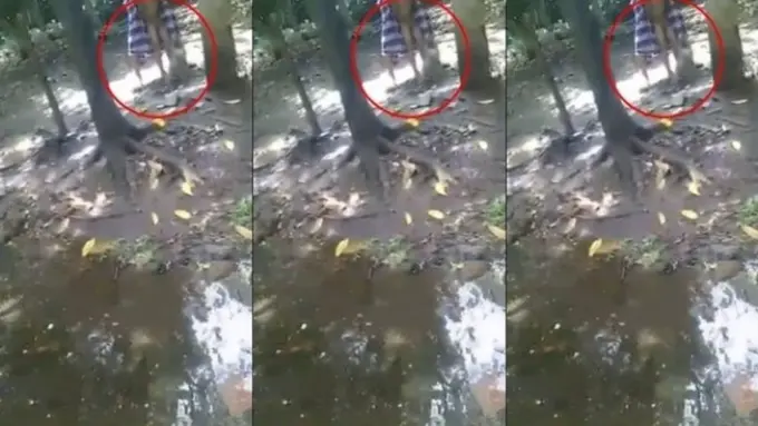 [Bintang] Lagi Viral! Ini Video Kakek yang Tega Umpankan Cucunya ke Monyet