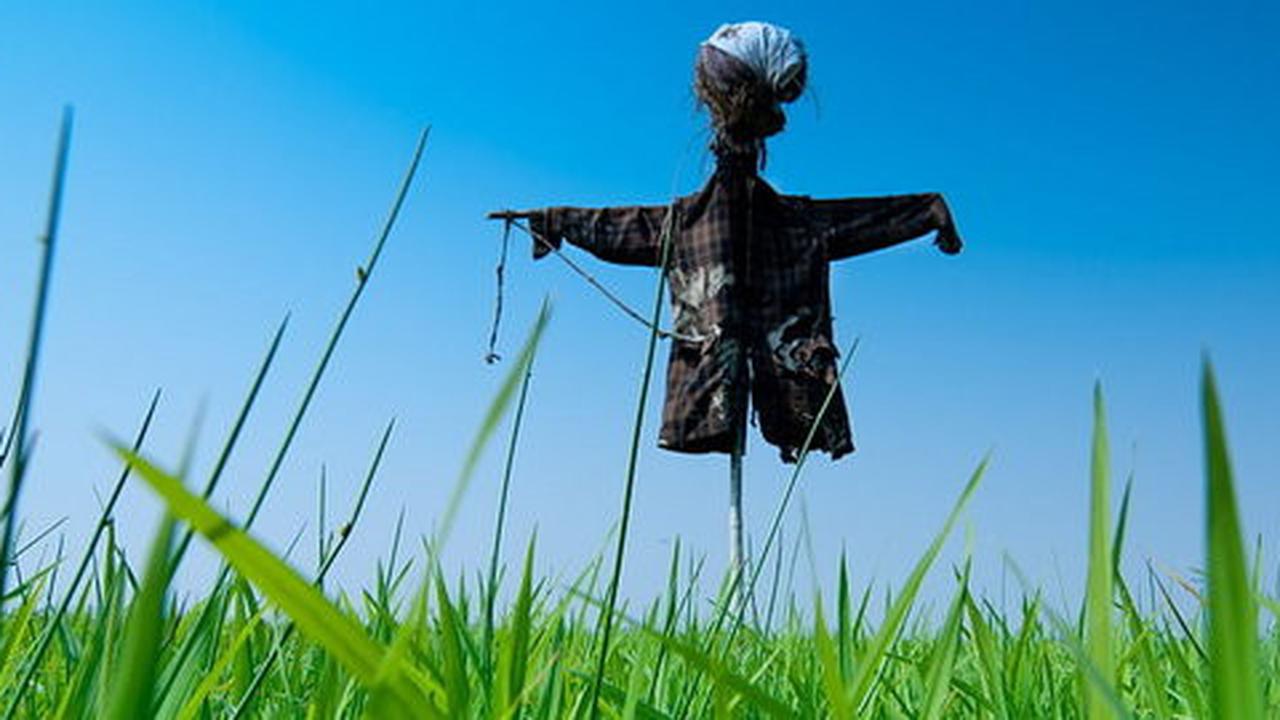 Inggris rayakan festival orang-orangan sawah, unik atau malah seram?
