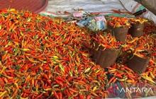 Harga Pangan Jelang Lebaran Meroket: Cabai Rawit Tembus Rp131.000 per Kg