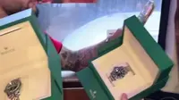 Hubner Unggah Momen Timnas Unboxing Jam Tangan Usai Bertemu Prabowo
