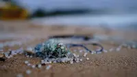 Ilustrasi Mikroplastik di Laut (sumber: unsplash)