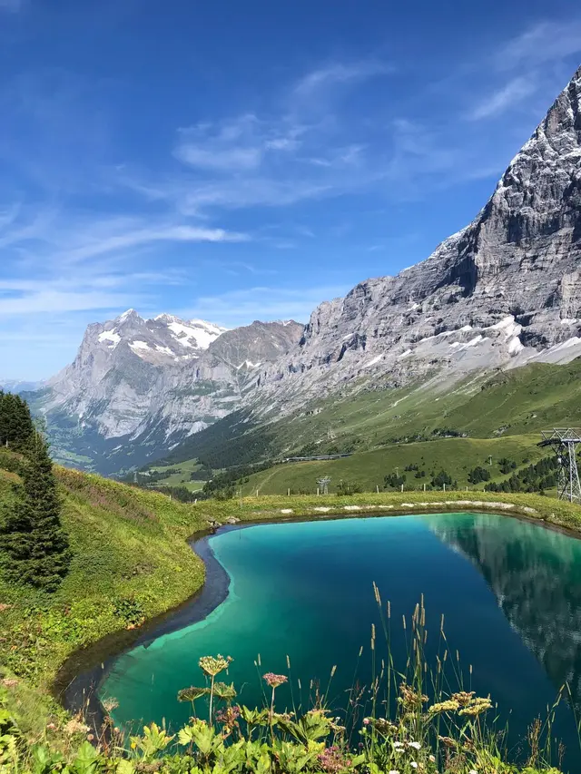 desa Grindelwald