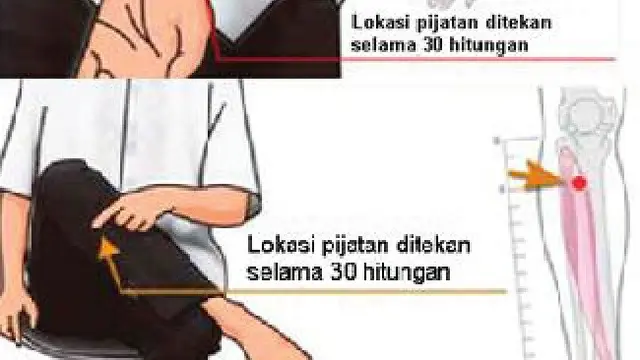 Mual dan Muntah