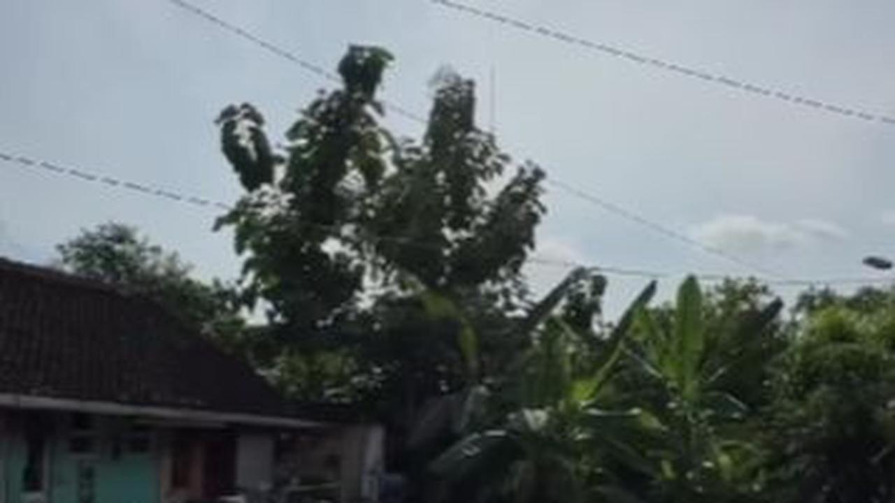 Situs Tersembunyi Ini Jadi Tempat Deklarasi Berdirinya Kasultanan Yogyakarta Hadiningrat, Begini Sejarahnya