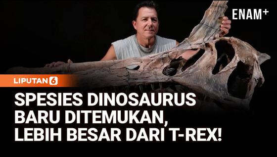 Temuan Spesies Baru Dinosaurus, Jauh Lebih Besar dari T-Rex!