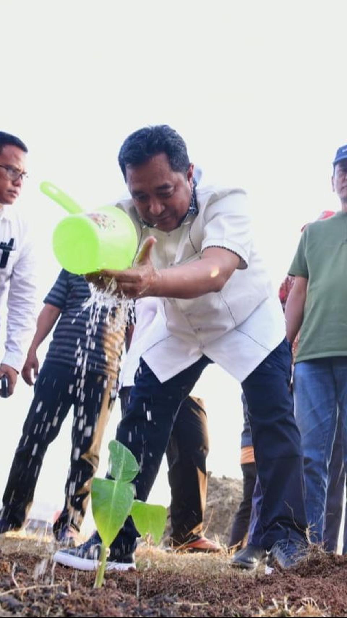 "Saya ingin menjadikan Sulawesi Selatan sebagai produsen pisang. Nah itu rencana lokasinya besar di Mare," ungkap Bahtiar.