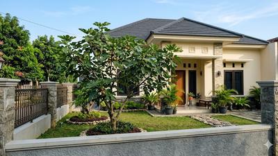 5 Kesalahan Memilih Tanaman Peneduh yang Bisa Merusak Fondasi Rumah