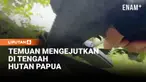 Ratusan aparat gabungan TNI–Polri membongkar sebuah kamp yang diduga menjadi basis kelompok kriminal bersenjata (KKB) di Kali Nabarua, Kabupaten Nabire, Papua Tengah.