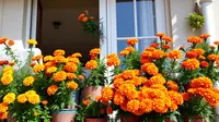 10 Manfaat Tanam Bunga Marigold, Si Pengusir Ular Alami yang Mempercantik Rumah