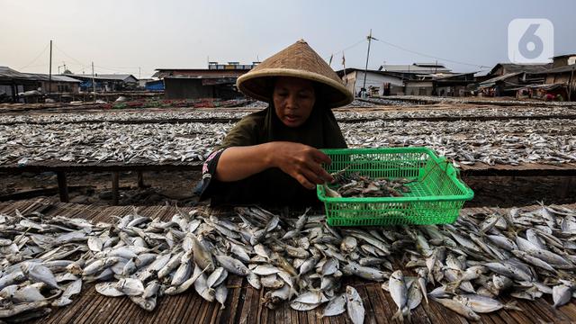 Realisasi Dana Pemulihan Ekonomi Nasional