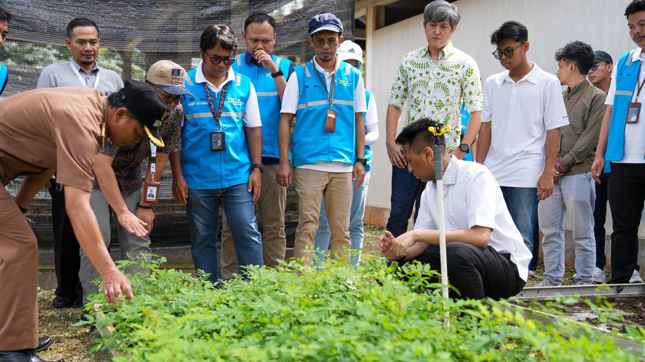 Manfaatkan Lahan Kritis, Masyarakat Didorong Kembangkan Biomassa untuk Ketahanan Ekonomi