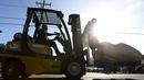 Pekerja menggunakan forklift untuk memindahkan labu pada kontes Safeway World Championship Pumpkin Weigh-Off ke-42 di Half Moon Bay, California, Senin (12/10). Acara tahunan tersebut memperlombakan hasil panen berupa labu raksasa. (REUTERS/Stephen Lam)