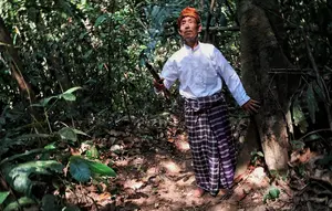 Hutan Leuweung Gede Kampung Adat Kuta: Satu Hutan, Tiga Penjaga