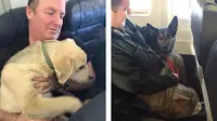Untuk pertama kalinya, sebuah maskapai penerbangan mengijinkan semua penumpang membawa hewan peliharaan mereka masuk ke dalam pesawat.
