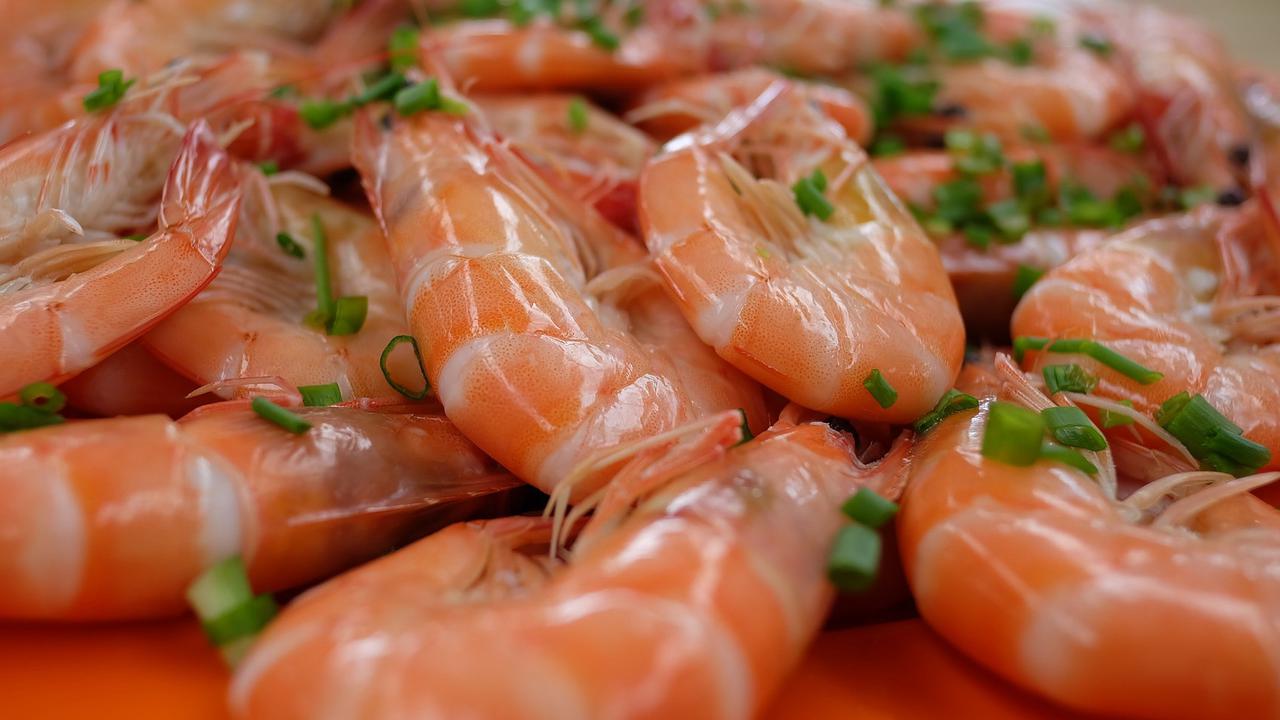 Cara Praktis Simpan Udang Tanpa Bau dan Tetap Segar