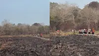 Titik Api Way Kambas Padam, Lokasi 14 Km dari Pusat Latihan Gajah