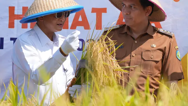 Panen Demplot Bersama Petani, Menteri PU Dorong Penerapan IPHA untuk Swasembada Pangan