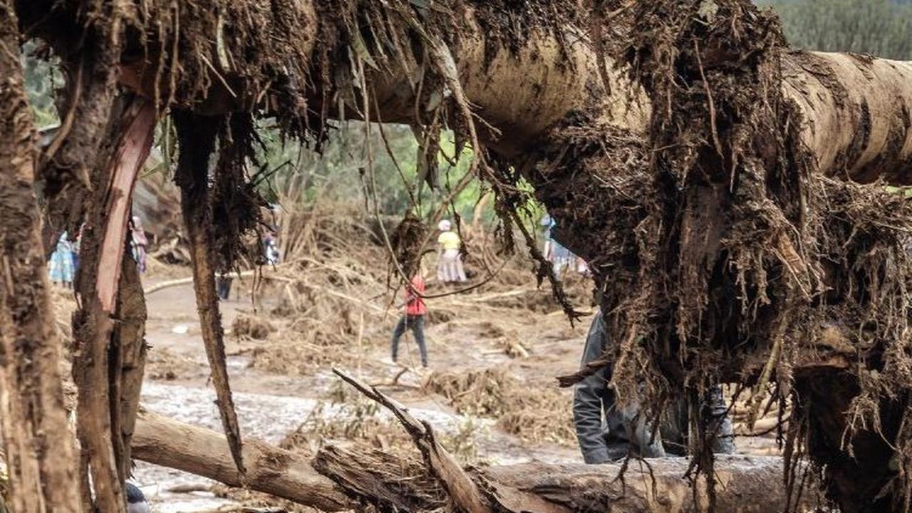 Sebagaimana dikutip Reuters, polisi menyebut banjir bandang dipicu bendungan jebol. Sementara, Kementerian Air Kenya kemudian mengatakan banjir disebabkan terowongan sungai di bawah tanggul kereta api yang tersumbat oleh puing-puing. Luis Tato/AFP<br>