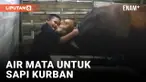 Haru! Anak Ini Tangisi Sapi Kesayangan yang Akan Dikurbankan