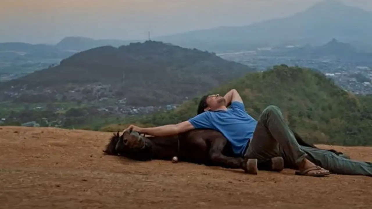 Jo Sahabat Sejati (Foto: YouTube)