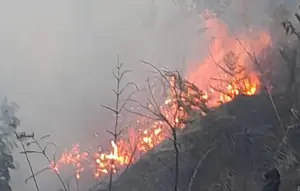 Gunung Bromo Kebakaran, Akses Wisata Ditutup