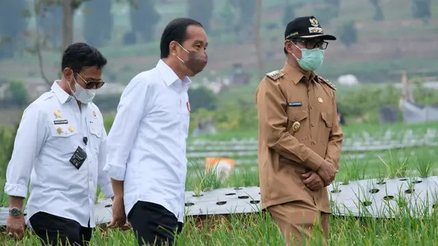 Presiden Joko Widodo Apresiasi Kawasan Food Estate Kementan