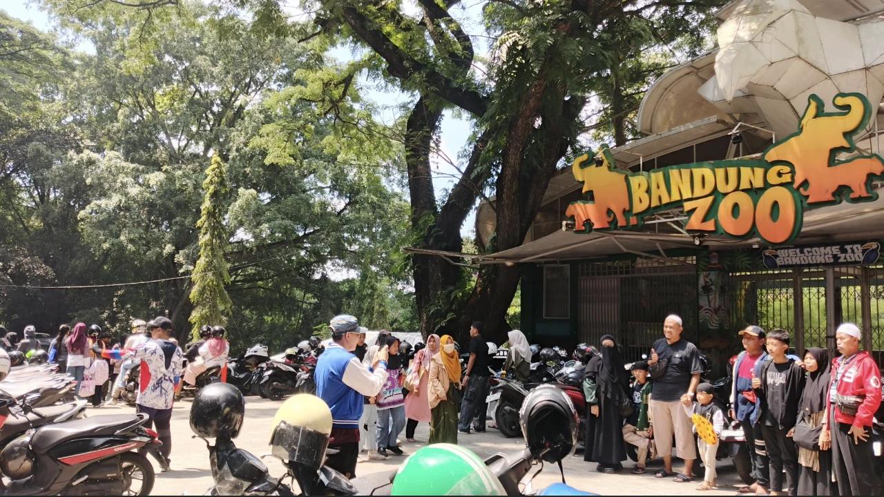 Menengok Kepingan Sejarah Bandung Zoo: Dari Taman Kota ke Kebun Binatang
