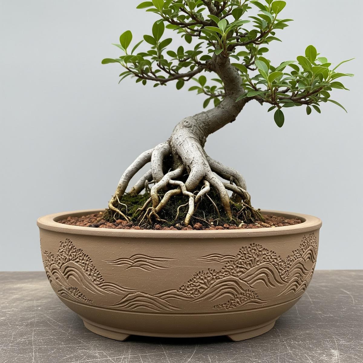 Model Pot Bunga dari Tanah Liat hingga Beton (Image by Gemini AI)
