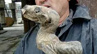 Para pemburu harta menemukan bangkai hewan aneh yang sudah menjadi 'mumi', di sebuah tambang berlian di Siberia (News.com.au).