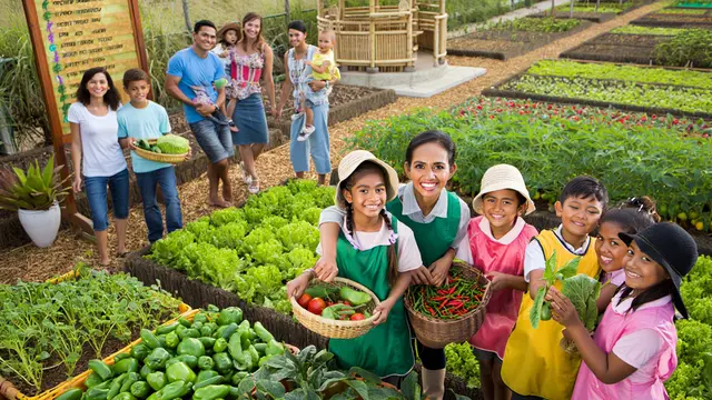 Ide Kebun Sayur Komunitas yang Bisa Dijual Hasilnya (AI)