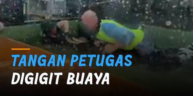 VIDEO: Tangan Petugas Digigit Buaya, Pengunjung Nekat Lompat ke Kandang Buaya