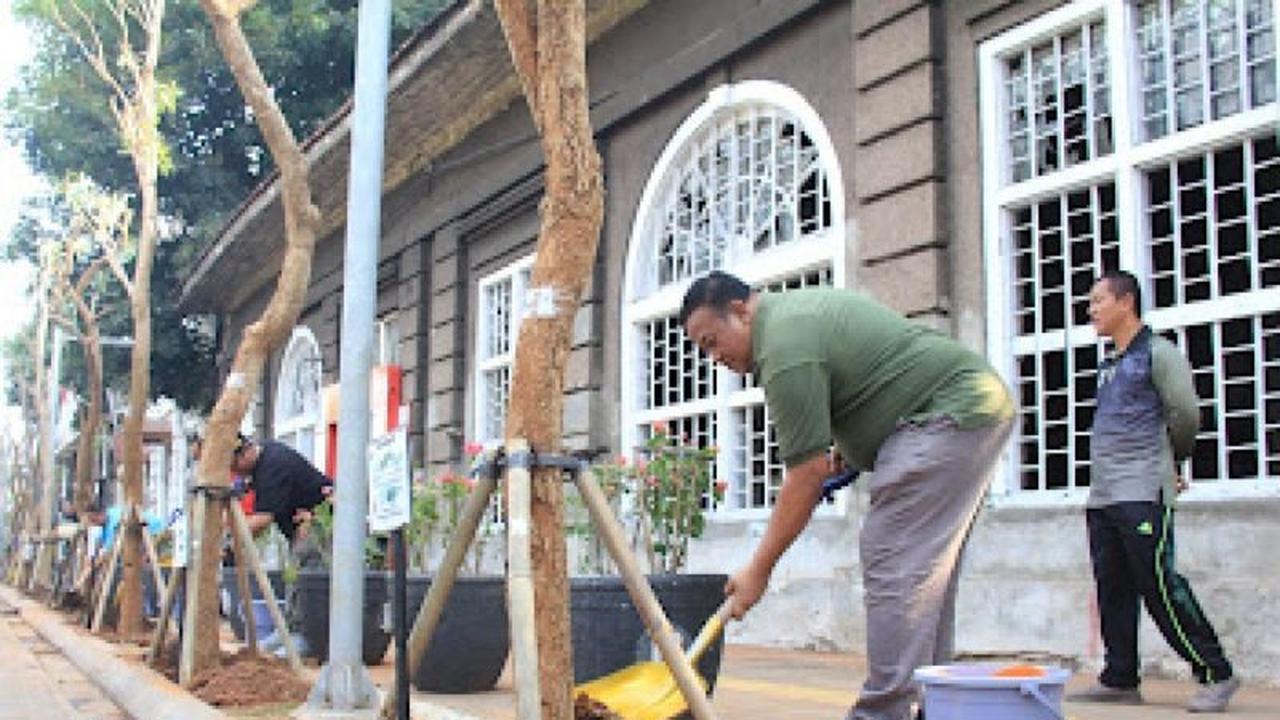 Tahukah Anda? Ratusan Ribu Tanaman Hias Ditanam dalam Program Penghijauan Jakarta Barat