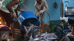 Aktivitas bongkar muat ikan di Pelabuhan Muara Baru, Jakarta, Selasa (22/9/2015). Nelayan mengeluh mahalnya BBM dan Peraturan Menteri No. 2/2015 tentang larangan penggunaan pukat hela dan pukat tarik membuat nelayan merugi. (Liputan6.com/Angga Yuniar) 