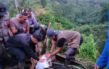 Anak Harimau Sumatera Terjebak Jerat Babi di Agam, Berhasil Diselamatkan
