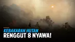 kebakaran turki