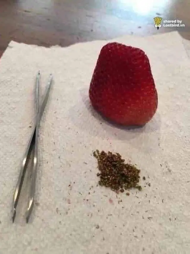6 Kelakuan Gabut Orang saat Kupas Buah Ini Nyeleneh Banget, Kocak
