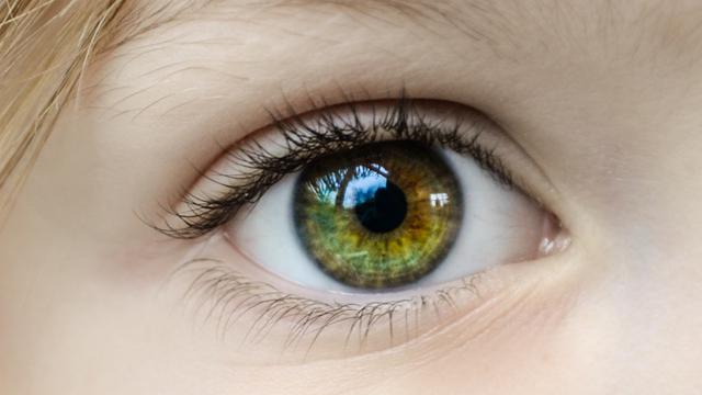 Fungsi Retina Pada Mata