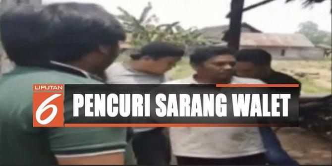 Video Amatir Penggerebekan Pelaku Pencuri Sarang Walet di Jambi