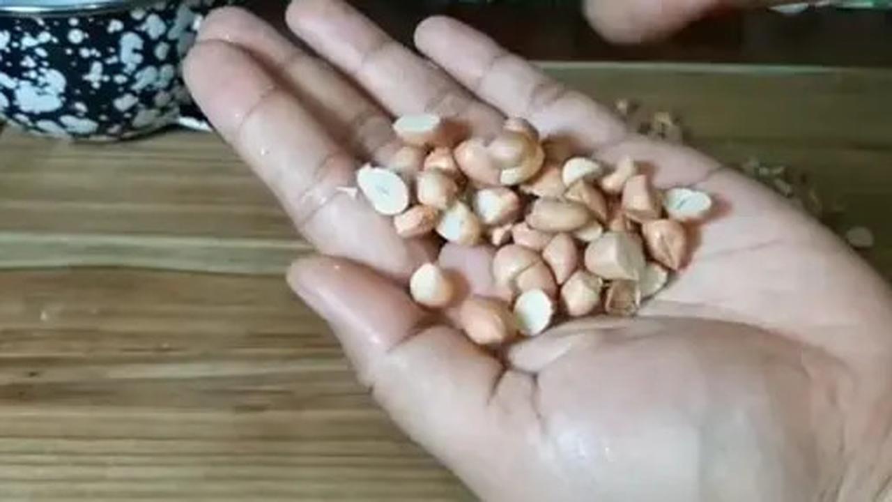 Resep Rempeyek Renyah Tanpa Gagal, Ternyata Santan dan Tepung Maizena Kuncinya