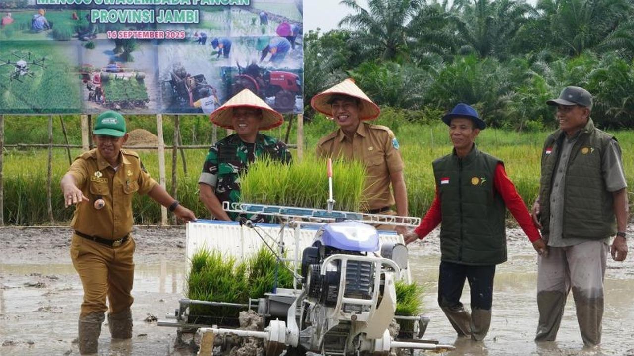 TNI-Pemda Jambi: Lebih dari Sekadar Tanam Padi, Ini Rahasia Sinergi Kuat Wujudkan Swasembada Pangan Jambi!