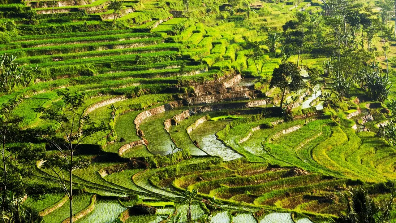 Buka Kembali, Nikmati Keindahan Alam dan Makan Malam Romantis di Amanjiwo