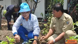 Citizen6, Surabaya: Upaya penghijauan tanaman bermanfaat dipimpin Wakil Ketua Gabungan Jalasenastri Kobangdikal, Ny. Tini Sturman Panjaitan, di taman kantor gedung Srikandi, Kesatrian Bumimoro, Kobangdikal, Rabu (17/10). (Pengirim: Penkobangdikal).