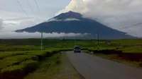 Hamparan perkebunan teh peninggalan Belanda masih asri terjaga di kaki Gunung Kerinci. (B Santoso/Liputan6.com)