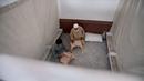 <p>Umat Muslim membaca al-Quran saat melakukan ibadah itikaf di sebuah masjid, di Peshawar , Pakistan, 22 April 2022. Itikaf adalah adalah tinggal atau menetap di dalam masjid dengan niat beribadah untuk mendekatkan diri kepada Allah dan biasanya dilakukan sepuluh hari terakhir Ramadhan. (AP Photo/Muhammad Sajjad)</p>