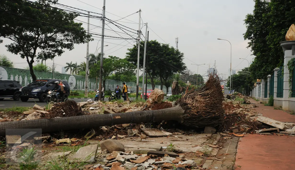 Sisa batang pohon masih terlihat jalur pedestrian di Jalan Gerbang Pemuda Senayan, Jakarta, Selasa (12/7/2016). Pasca pengosongan pertengahan Mei lalu, hingga kini jalur pejalan kaki di kawasan ini masih berantakan. (Liputan6.com/Helmi Fithriansyah)