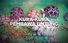 VIDEO: Berani Berubah Dari Kedai Kopi Beralih Jual Kura-Kura