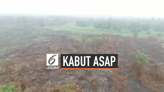Kondisi kabut asap di Pekanbaru semakin mengkhawatirkan, jarak pandang hanya 1 klometer. Selain itu kabut asap juga membuat indeks udara buruk sehingga sekolah-sekolah dliburkan.